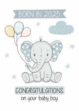 Born in 2025 Baby Boy created by Creaternet