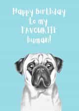 Cute Pug Birthday Card created by Ashley Louise