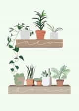 Pretty Trendy New Home Card - House Plants - New Home created by Amber Jane