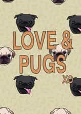 Love pugs Card 44749 created by LoveNStuff