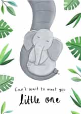 little elephant Pregnancy Card 9981 created by Chloe Fae Designs