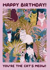 cat cat lover Birthday Card 20042 created by OMG Kitty