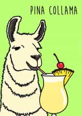 llama pina colada Birthday Card 18795 created by Holly Collective