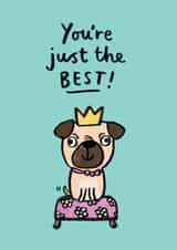 dog illustration Congratulations Card 18303 created by Jenny Seddon