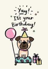 pug dog Birthday Card 18304 created by Jenny Seddon