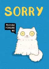 Sorry created by Drawn to Cats