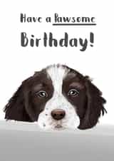 dog puppy Birthday Card 18088 created by Sarah Stephenson