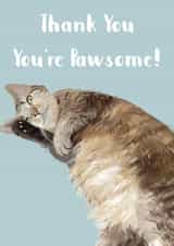 thank you cat Thank You Card 18089 created by Sarah Stephenson