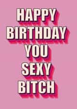 sexy bitch Birthday Card 20164 created by Bold Cards