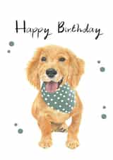labrador puppy Birthday Card 18723 created by Emily Hunter