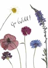 Classic Birthday Card - Flowers - Go Wild created by Nelly Heather