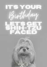 Card 33588 created by Warwick Studios