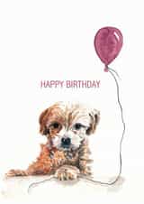 dog pet Birthday Card 19312 created by Rhiannon Williams Art