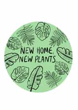 house plants New Home Card 14823 created by Maisie Maria