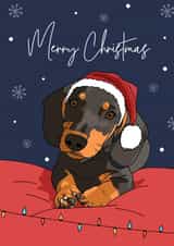 Modern - Dachshund - Sausage Dog - Trendy - Christmas Dog - Snowflakes - Santa Hat - Furry Friend - From The Dog - Christmas Card created by Evie Garnett Designs