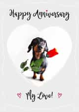 dachshund dog Anniversary Card 19430 created by Laura Deakin