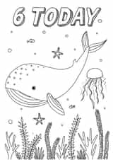 6 Today Whale Colouring Card created by Zoe-Claire