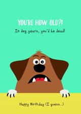 Fuunny Biraathday Card Card 37037 created by Richard