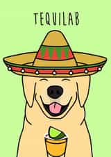 tequila tequila shot Birthday Card 18798 created by Holly Collective