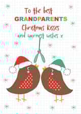Christmas Robin Grandparents Christmas card created by TillieMint