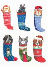 Cute - Furry Friends - Christmas Stockings - Animals - Cats and Dogs - Fluffy Stockings - Pets - Christmas Card created by Sally Darby Illustration