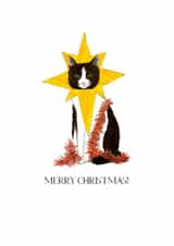 Cat adult Christmas Card 20480 created by Regency Post