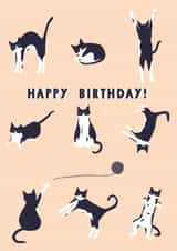cat cute Birthday Card 19277 created by Eleanor Beetle