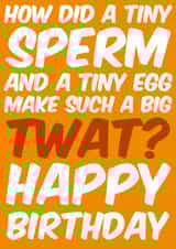 Twat Rude Birthday Card 7653 created by Sean David Cards
