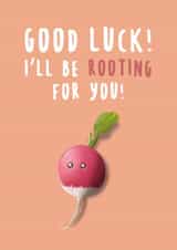 Good luck Friendship Good Luck Card 18332 created by Tom Boote