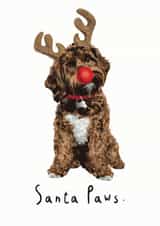 santa paws pun Christmas Card 7313 created by Amy Ellen Designs