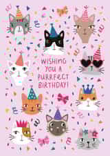 pun purrfect Card 20309 created by Mifkins