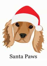 santa paws Christmas Card 20090 created by Cocoon Homeware Co