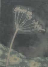 Card 45814 created by Hannah Morris