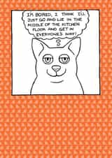 cat lady cats Just because Card 1828 created by On The Prowl Cat Cartoons