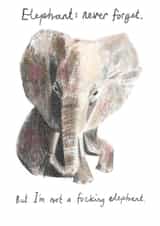 Belated Birthday Elephant created by Maxine Lee-Mackie