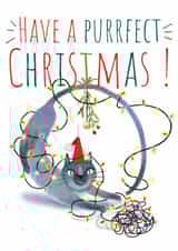 Cat Christmas card created by @Alisha Vas