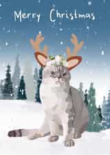 Cat Grumpy cat Christmas Card 18097 created by Sarah Stephenson