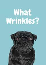 Cute Birthday Card - Dog - What Wrinkles? created by Studio Woof