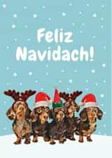 sausage dog Christmas Card 20648 created by Studio Woof
