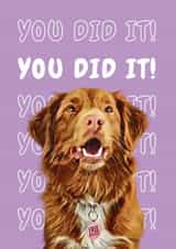 well done congrats Congratulations Card 20649 created by Studio Woof