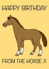 Horse Pony Birthday Card 16707 created by LydsPrivsCards