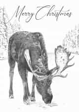 Hand Drawn Reindeer in a Winter Scene - Perfect for a Merry Christmas created by Artisan Animal Prints
