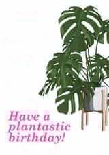birthday card cheese plant Card 39875 created by MerryNotesDesigns
