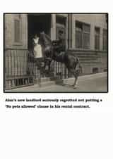 Card 36921 created by Danny Walsh