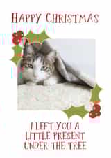 Personalised Christmas Photo Card created by Giddy Kipper - Funny Personalised Christmas Card / Photo Card - From The Cat - I Left You A Little Present Under The Tree