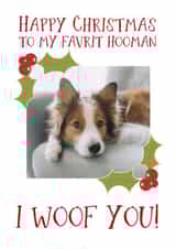 Personalised Christmas Photo Card created by Giddy Kipper - Cute Personalised Christmas Card / Photo Card - From The Dog - To My Favourite Hooman I Woof You