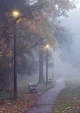 Card 27761 created by Rick Shea