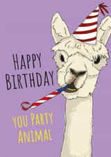 party hat lama Birthday Card 10371 created by Yeti Design