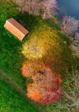 Card 22375 created by Dave Peck