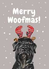 Dog from the dog Christmas Card 20650 created by Studio Woof